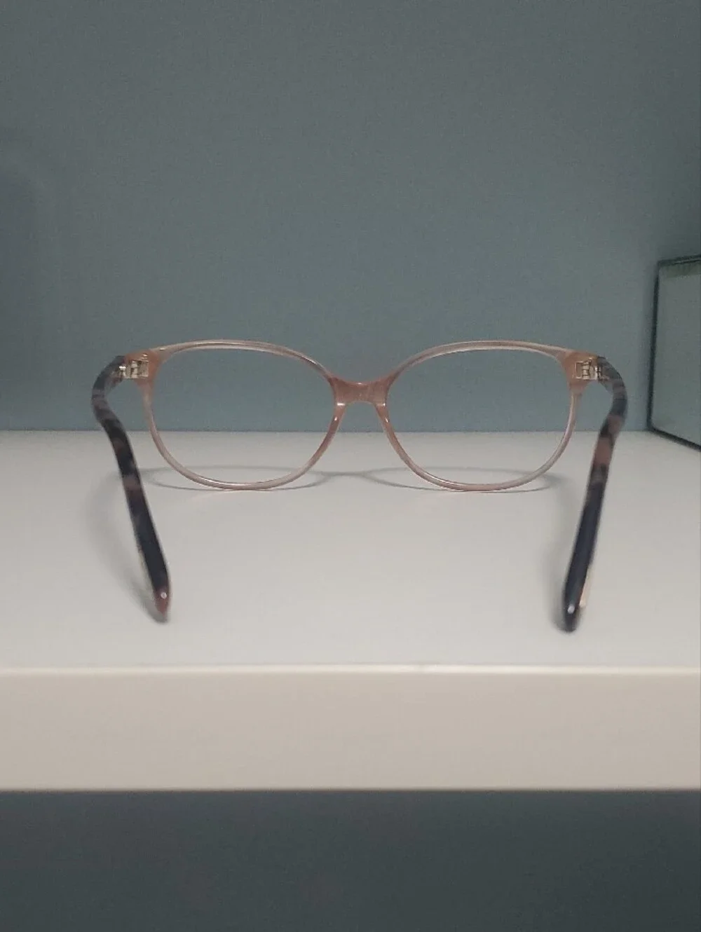Tom Ford Women's Translucent PeachTone/Tortoise Rectangle Glasses